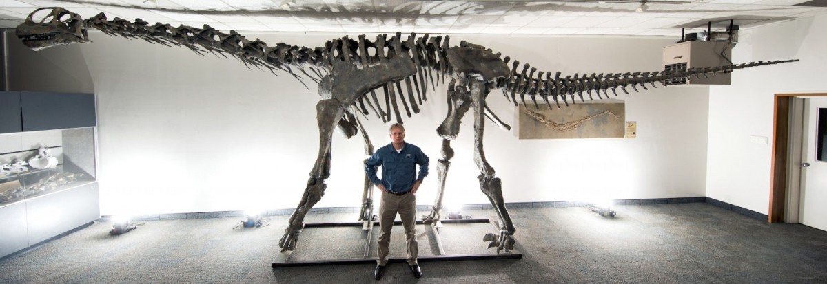 Researchers from the Brigham Young University discovered a new species of dinosaurs. dinosaur, Moabosaurus, Utah, discovered,