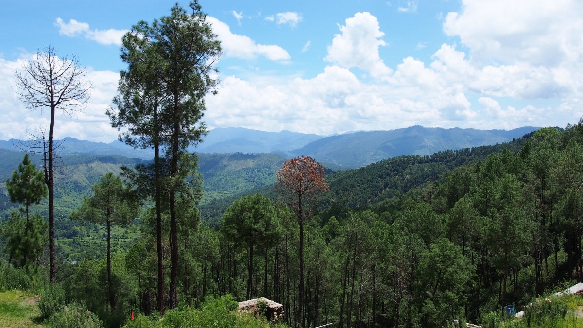 Ranikhet Ranikhet