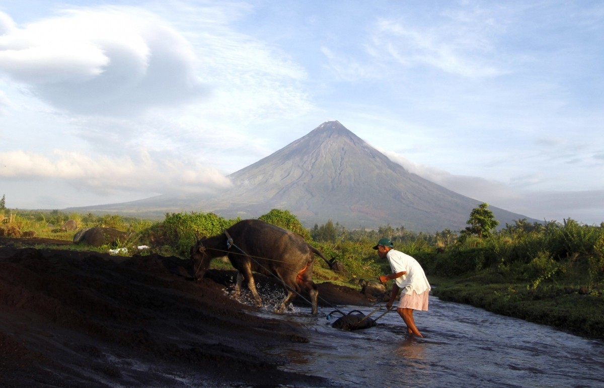 A farmer walks with his buffalo with the Mayon Volcano in the background in Albay province, Bicol region, South of Manila on 17 September 2014 following the evacuation warnings from the Philippine Institute of Volcanology and Seismology. Mayon Volcano eruption alert