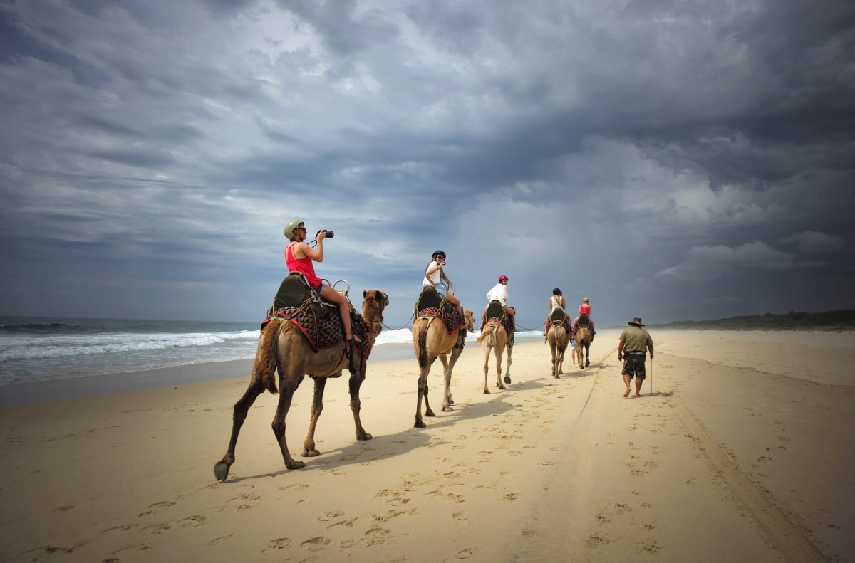 A tourist takes a picture under storm clouds during a camel safari tour alongside the Pacific Ocean on Lighthouse Beach, north of Sydney, December 4, 2014. Sydney