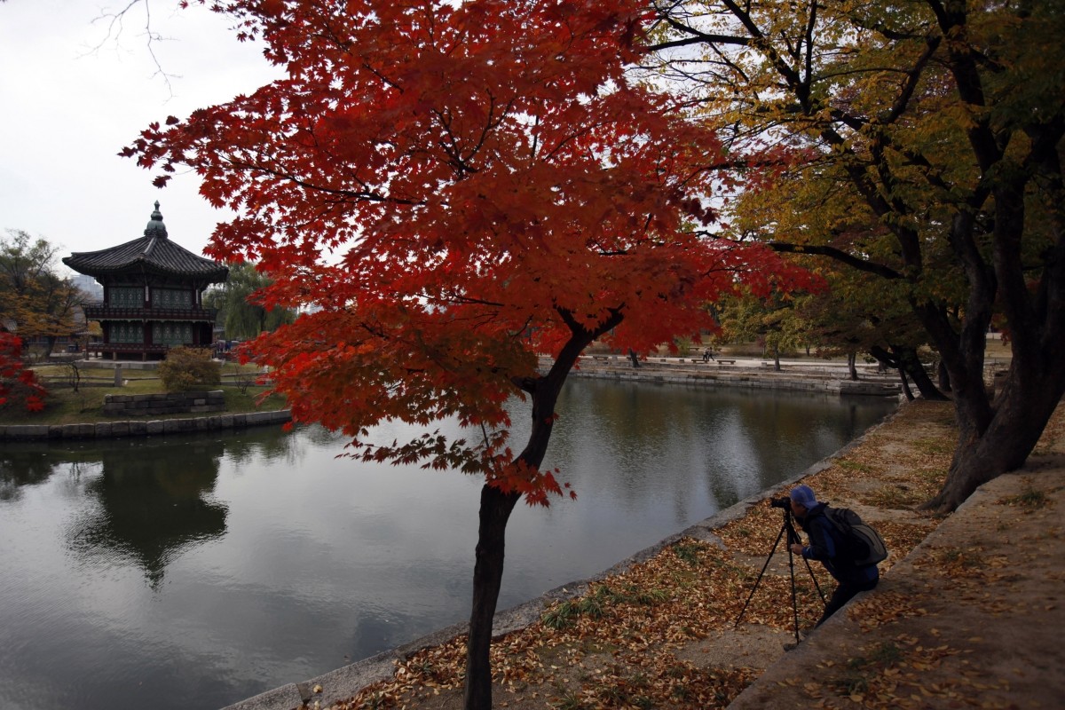 An amateur photographer takes a picture on an autumn day at Gyeongbok Palace in central Seoul October 31, 2012. South Korea