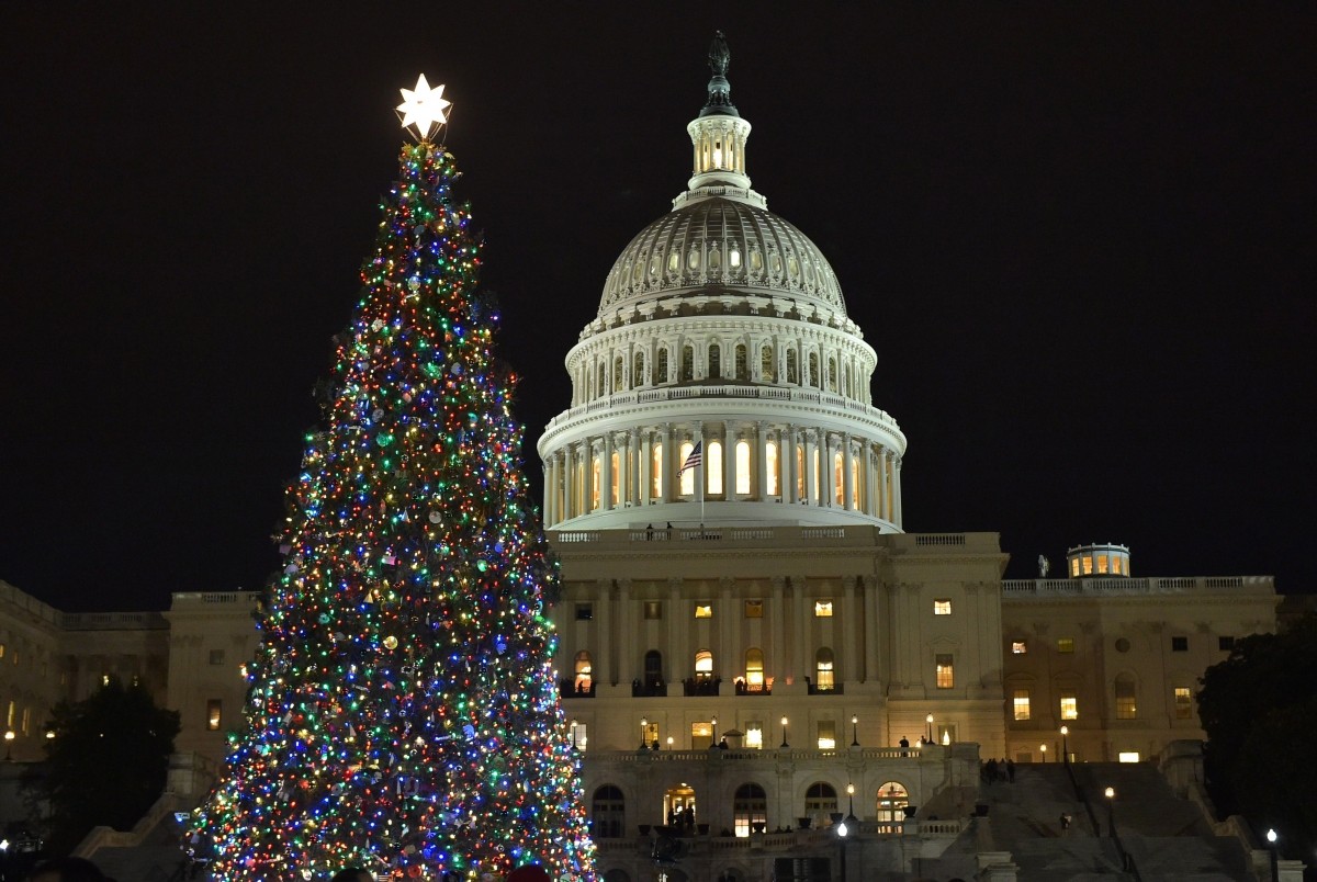 The Capitol Christmas tree is lit during a ceremony on the West Front of the US Capitol in Washington, DC on December 6, 2017 Christmas tree