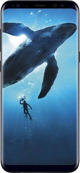 Samsung Galaxy S8 (4GB 64 GB, Midnight Black)