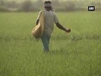 Poor monsoon adversely hits farmers