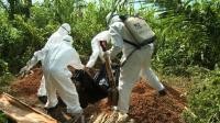 Journalists face 'invisible threat' of Ebola
