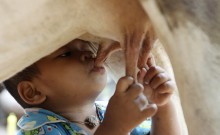 World Milk Day 2018: Best quotes, Wishes, Whatsapp Status, Facebook Messages to share