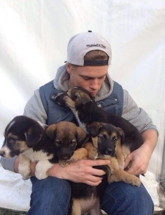 Olympic freeskier Gus Kenworthy with pups. (Twitter) Gus Kenworthy