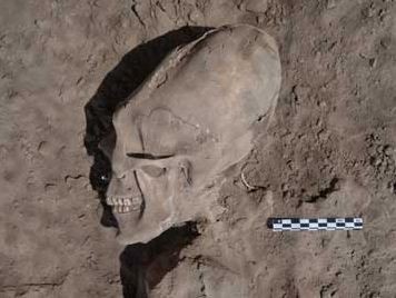 Alien-Like Skulls Excavated in Mexico