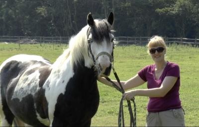 Study author Jennifer Wathan, with one of the horses from the experiment. horse