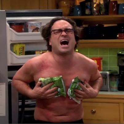 Johnny Galecki as Leonard Hofstader