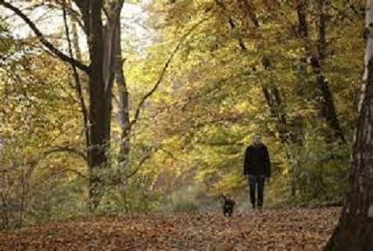 Brisk walk can reduce women's stroke risk, study finds