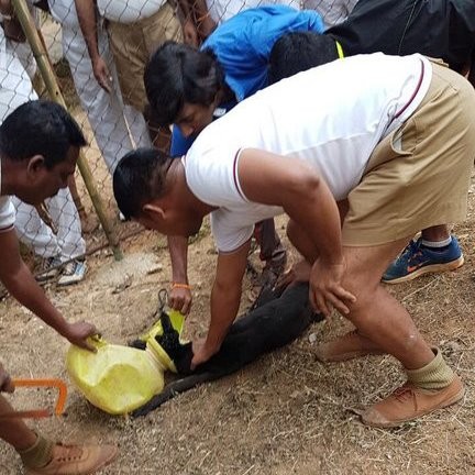 They proceeded to take the pot off the dog. Dog
