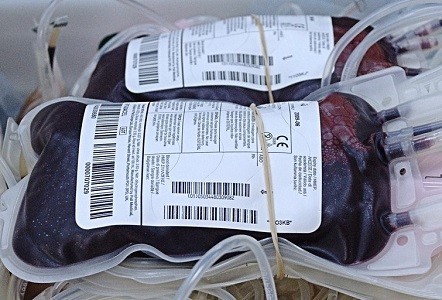 First Artificial Blood Cells soon be Manufactured in Industrial Scale (Wikimedia Commons/montuno)