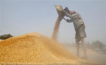 Foodgrains