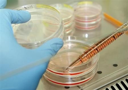 Science Laboratory