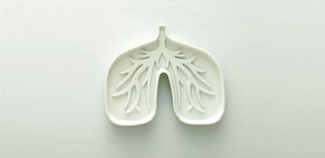 Human Lung