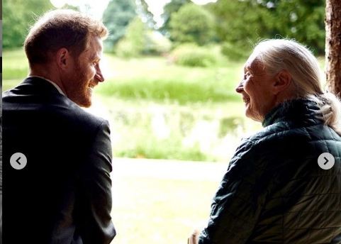 Prince Harry and Dr. Jane Goodall Prince Harry and Dr. Jane Goodall