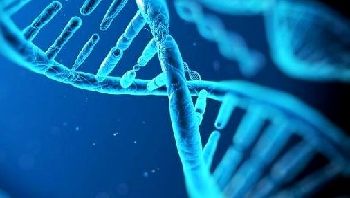 Google is working on a Nanoparticle Magnetic pill to detect Cancer, Heart attacks Google Manetic pill