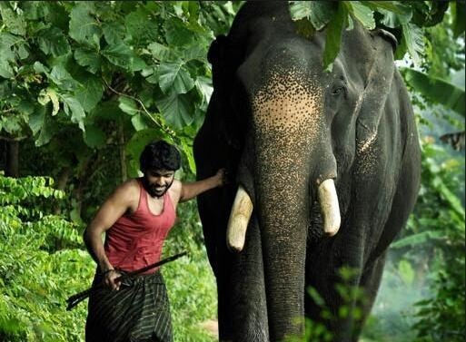 Kumki