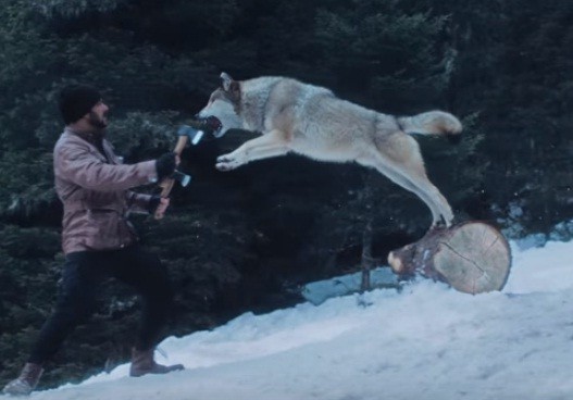 Tiger Zinda Hai Still Tiger Zinda Hai Still