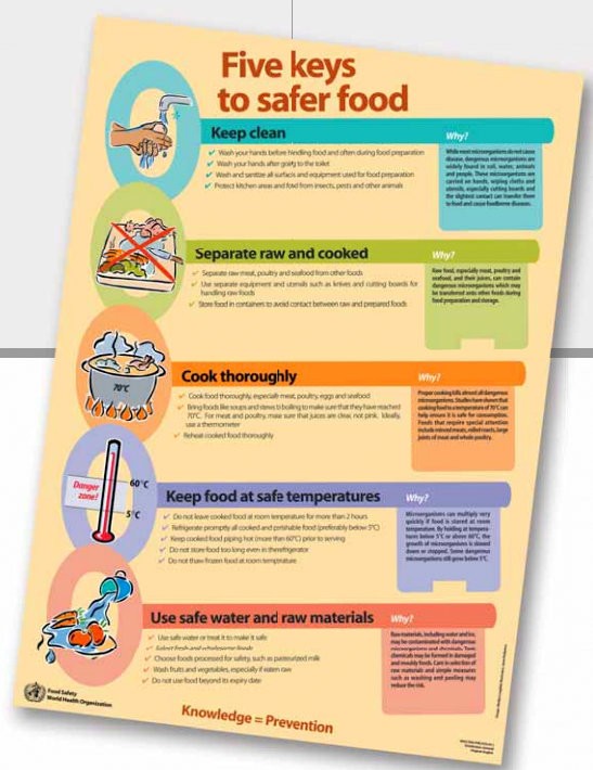 World Health Day 2015: 5 Must-know Facts,tips And Food Safety Habits To 