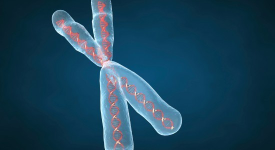 (Representational Image) World’s First Artificial Chromosome Built by Scientists (Representational Image)