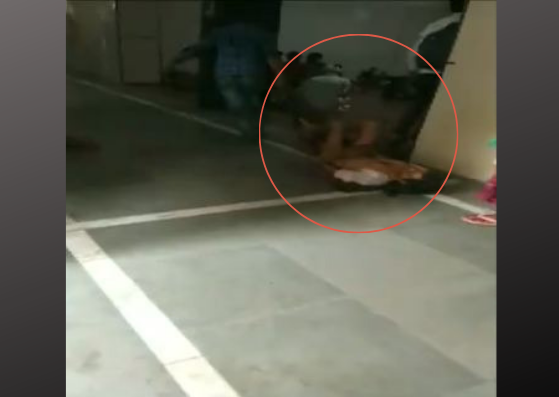patient dragged across the floor