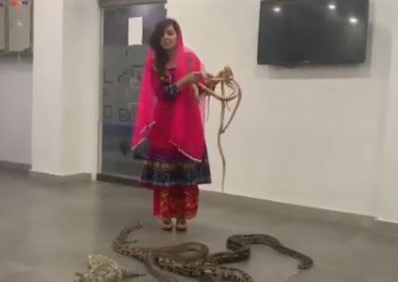 pakistani singer with snakes