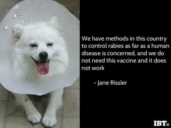 World Rabies Day: Best Quotes and Slogans and Sayings 