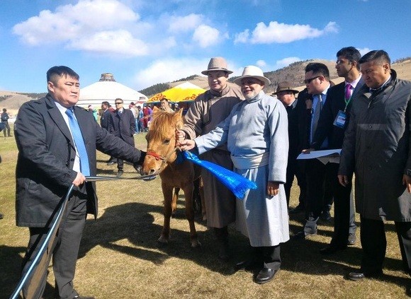 Mongolian PM Chimed Saikhanbileg gifts a horse to his Indian counterpart Narendra Modi during the latter's visit to the country in May 2015. modi in mongolia