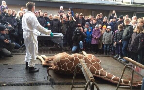Picture that has surfaced in Twitter show that the killing is shown to a crowd