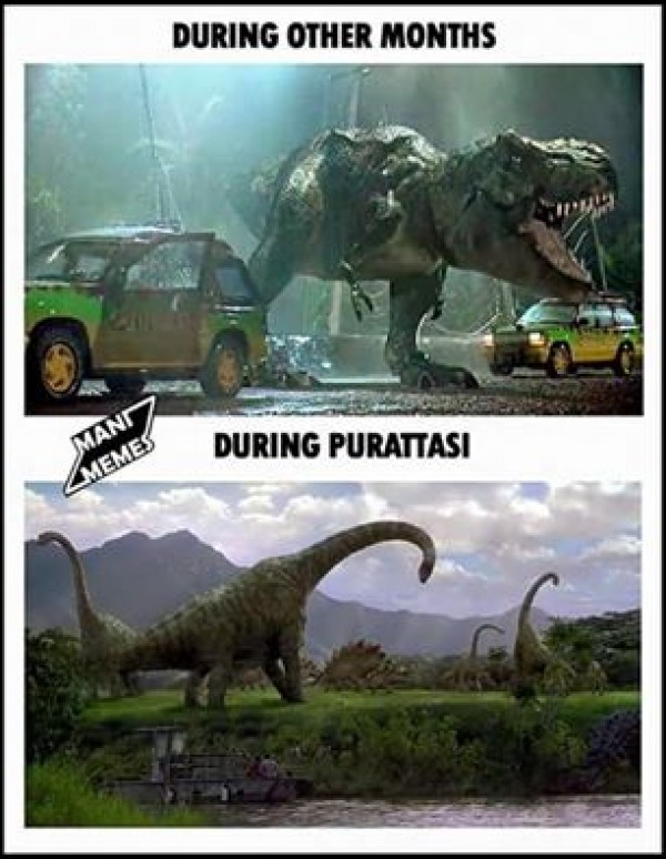 Puratasi month Funny memes Photos,Images,Gallery 48973