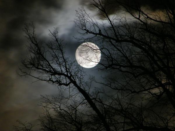 A blue moon occurs once every 2.7 years.(Twitter) Blue Moon