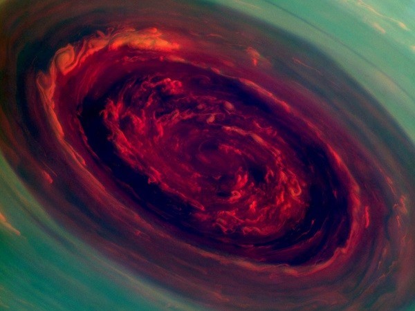The RoseThe spinning vortex of Saturn's north polar storm resembles a deep red rose of giant proportions surrounded by green foliage in this false-color image from NASA's Cassini spacecraft. (Credit: NASA/JPL-Caltech/SSI) The spinning vortex of Saturn's north polar storm resembles a deep red rose of giant proportions surrounded by green foliage in this false-color image from NASA's Cassini spacecraft. (Credit: NASA/JPL-Caltech/SSI)