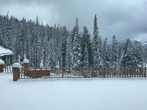 Jammu and Kashmir snowfall Condition of Jammu and Kashmir due to heavy snowfall
