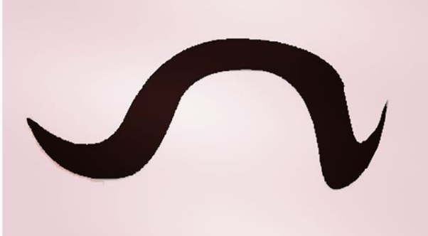 abhinandan varthman moustache