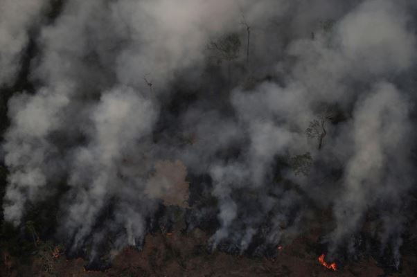 The smoke from the resulting fires hangs at the horizon like a fog. Amazon rainforest