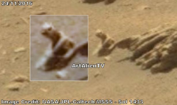 Alien reptile spotted on Mars