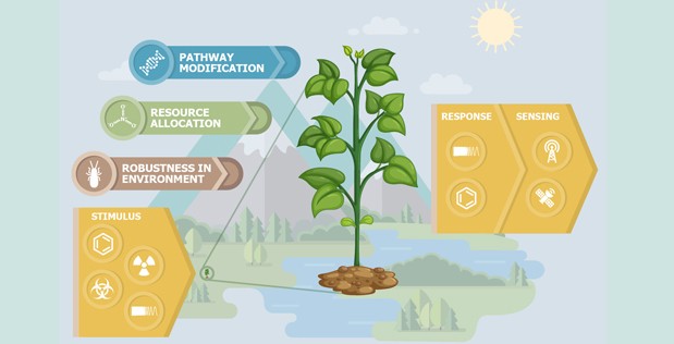 The Pentagon is planning to build special spy plants. Spy plants