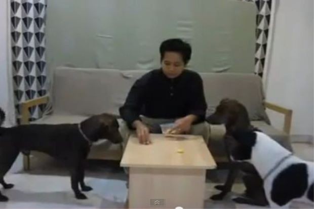 A screenshot of the controversial Dog video insulting Islam