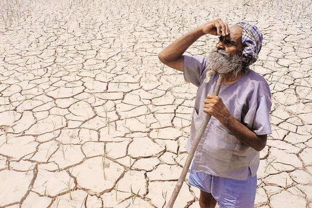 As per the latest data, of the 10,349 persons, who committed suicide in 2018, 4,586 were agricultural labourers. Farmers' suicide