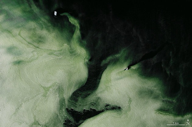 Another zoomed-in image of the green hue nasa, antarctica, space, environment, green ice, mystery,