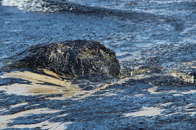 Oil Spill