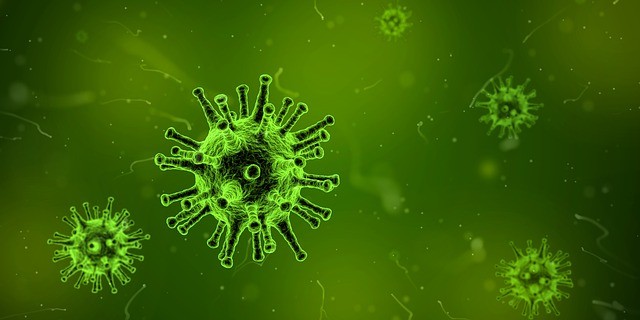 (Picture for representation) virus