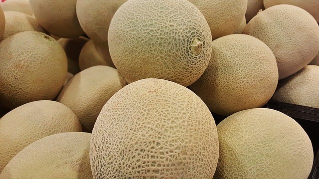 Representational picture of rockmelons Rockmelon