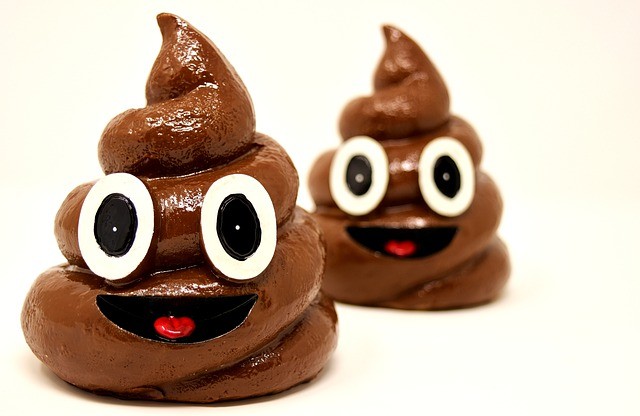 Picture for Representation pooping
