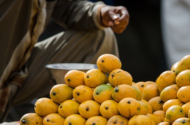 Despite spreading awareness about the hidden dangers of artificially ripened mangoes among farmers and traders, the chemical calcium carbide is still being used widely to ripen mangoes across the country, authorities at the Food and Drug Administration (FDA), revealed yesterday Mangoes