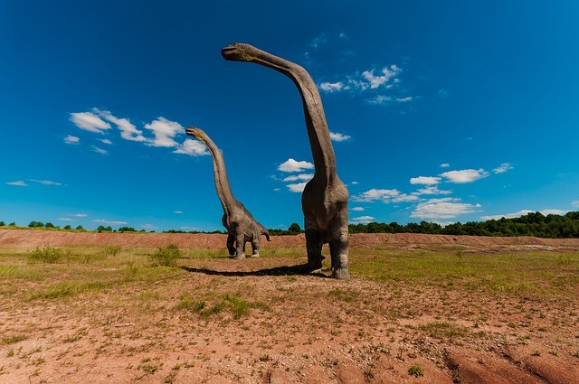 The incredible discovery was made by a rancher in 2000- Picture for Representation Dinosaur