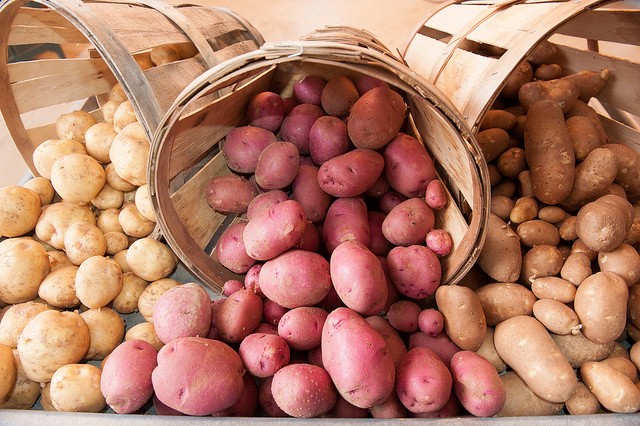 Experiments conducted on mice showed that polyphenols in potatoes were highly effective in preventing weight gain from a high- fat diet or a diet high in refined carbohydrates. Potatoes