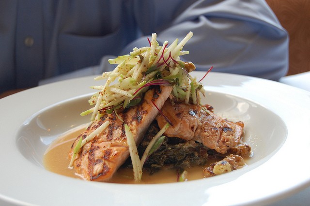 Salmon is a rich source of fish oil and omega-3 fatty acids. Salmon